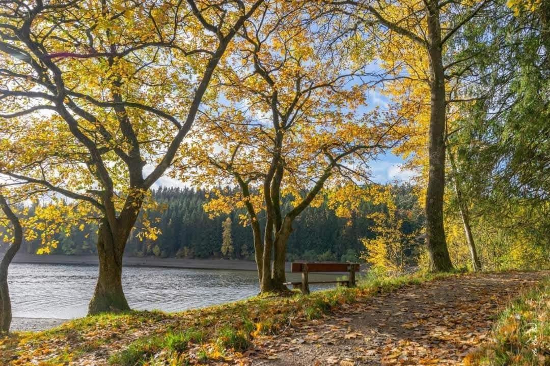 Lac Abane Au Lac Butgenbach Esterno foto